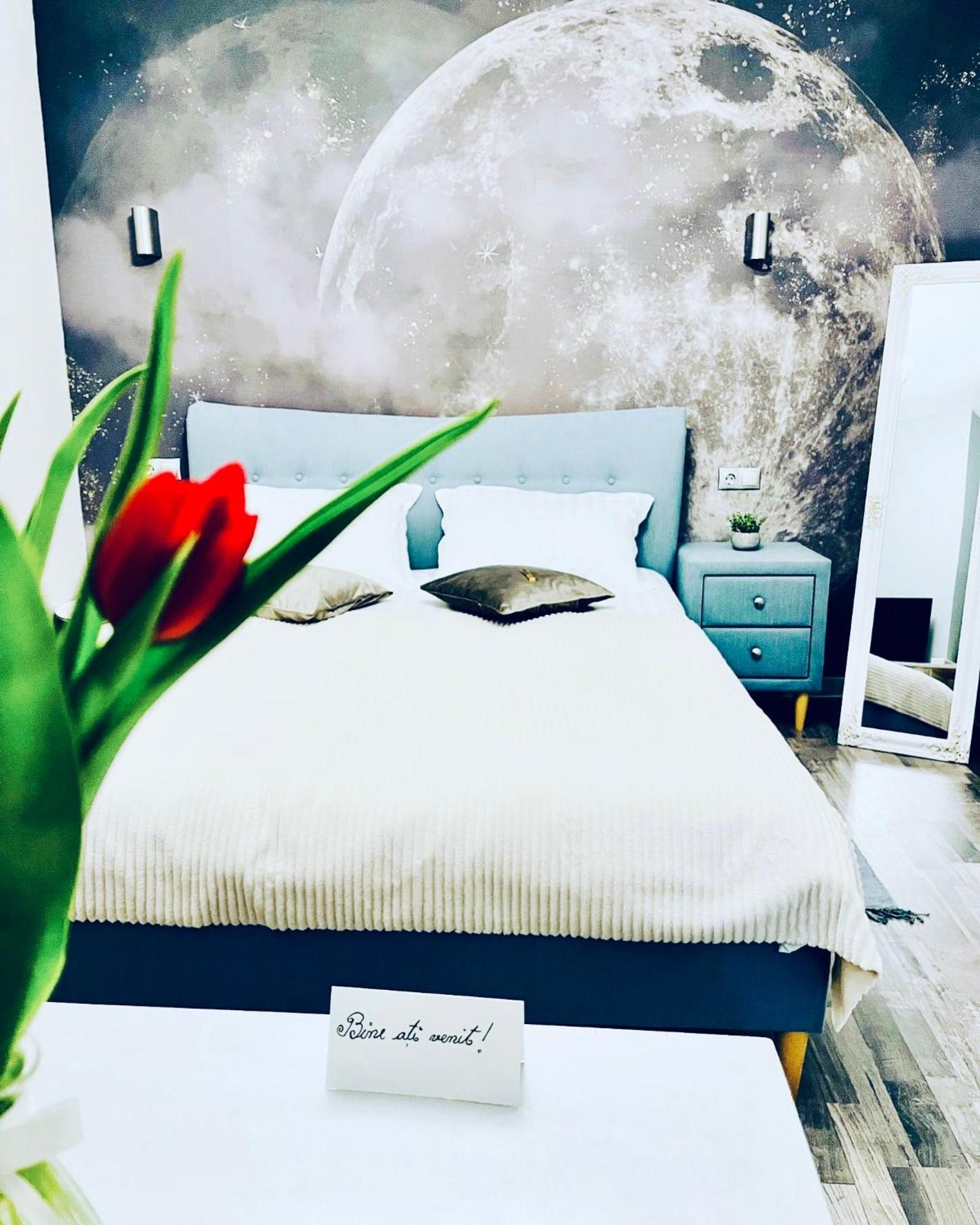 Moon And Sun Apartments Sibiu Ngoại thất bức ảnh
