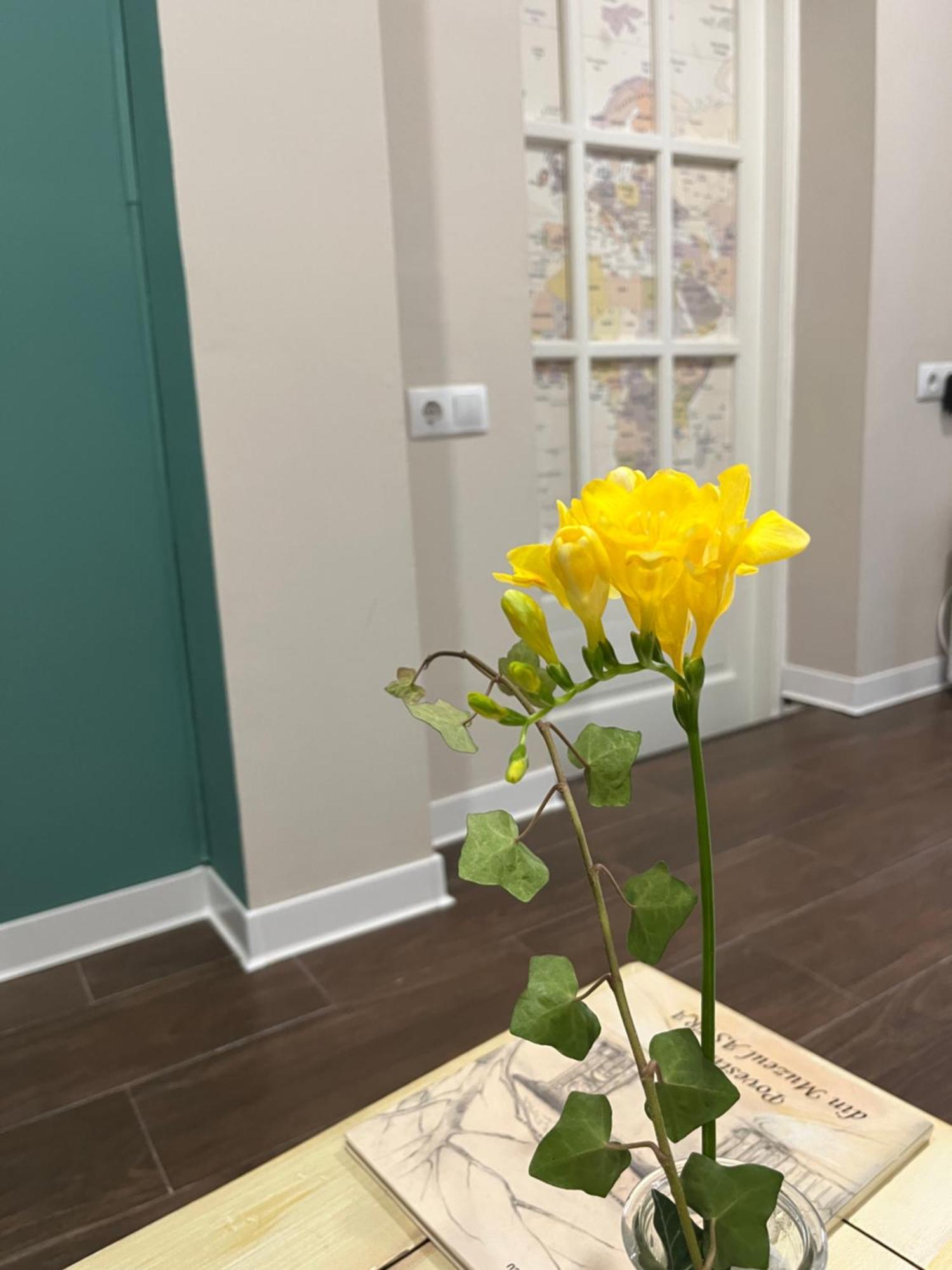 Moon And Sun Apartments Sibiu Ngoại thất bức ảnh