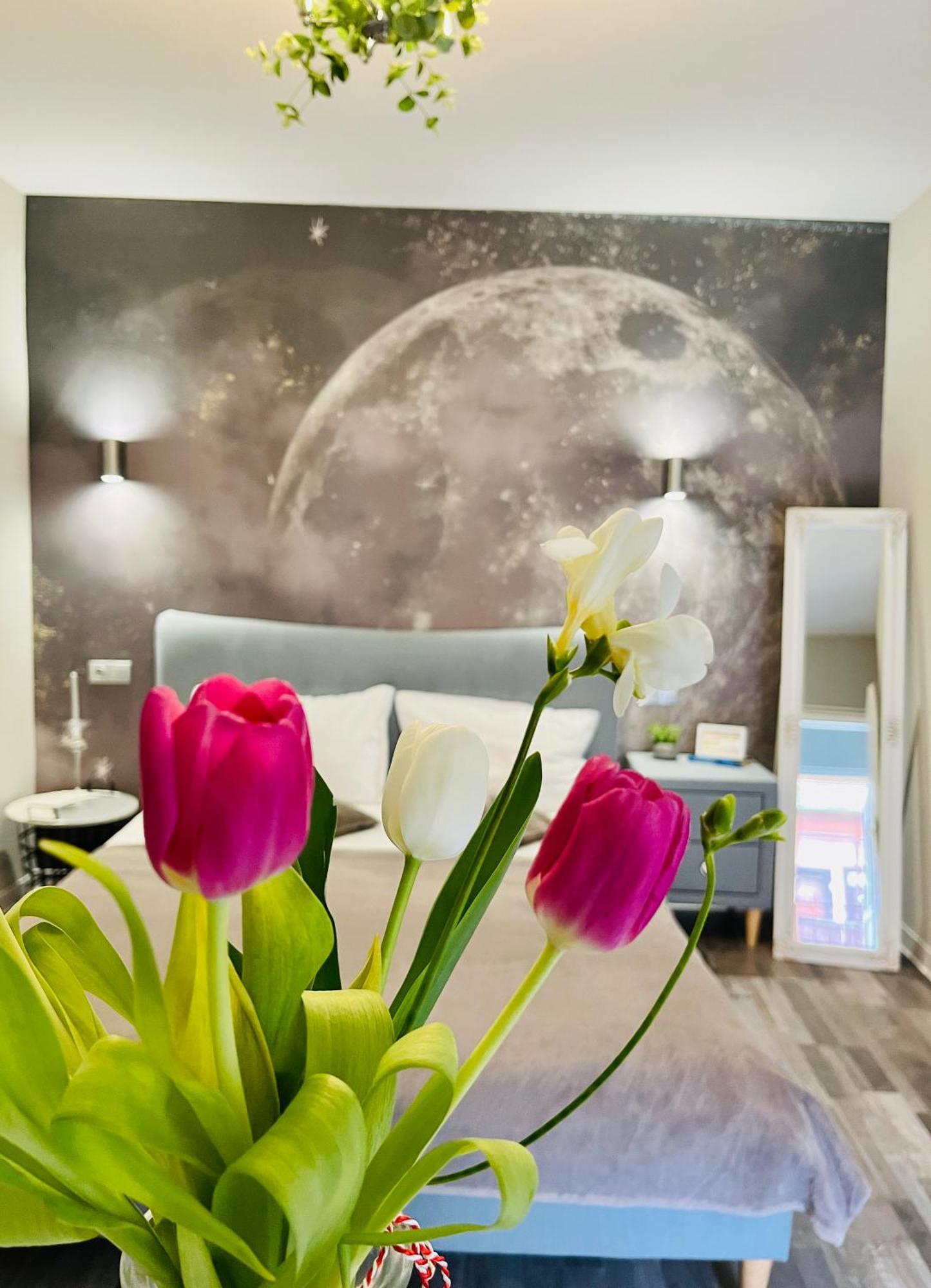Moon And Sun Apartments Sibiu Ngoại thất bức ảnh