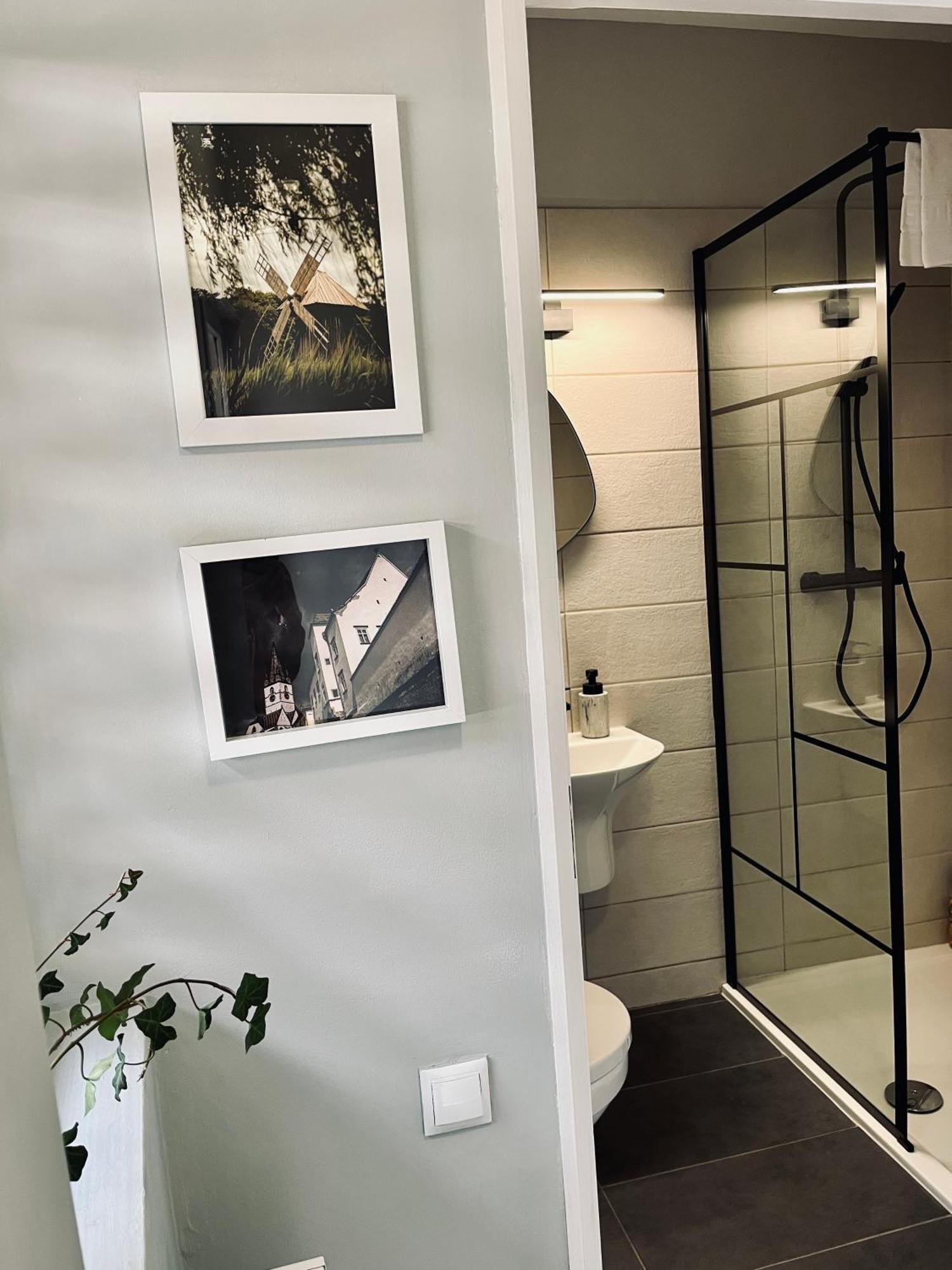Moon And Sun Apartments Sibiu Ngoại thất bức ảnh