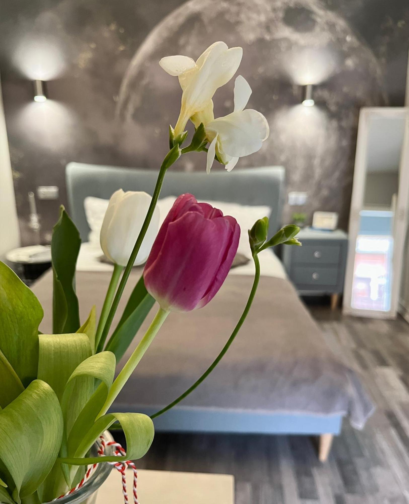 Moon And Sun Apartments Sibiu Ngoại thất bức ảnh