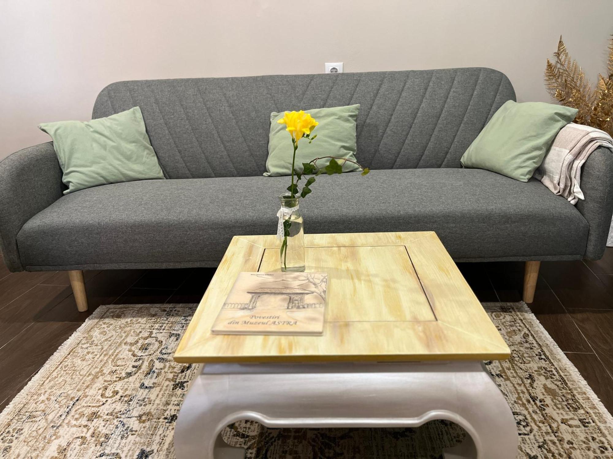 Moon And Sun Apartments Sibiu Ngoại thất bức ảnh