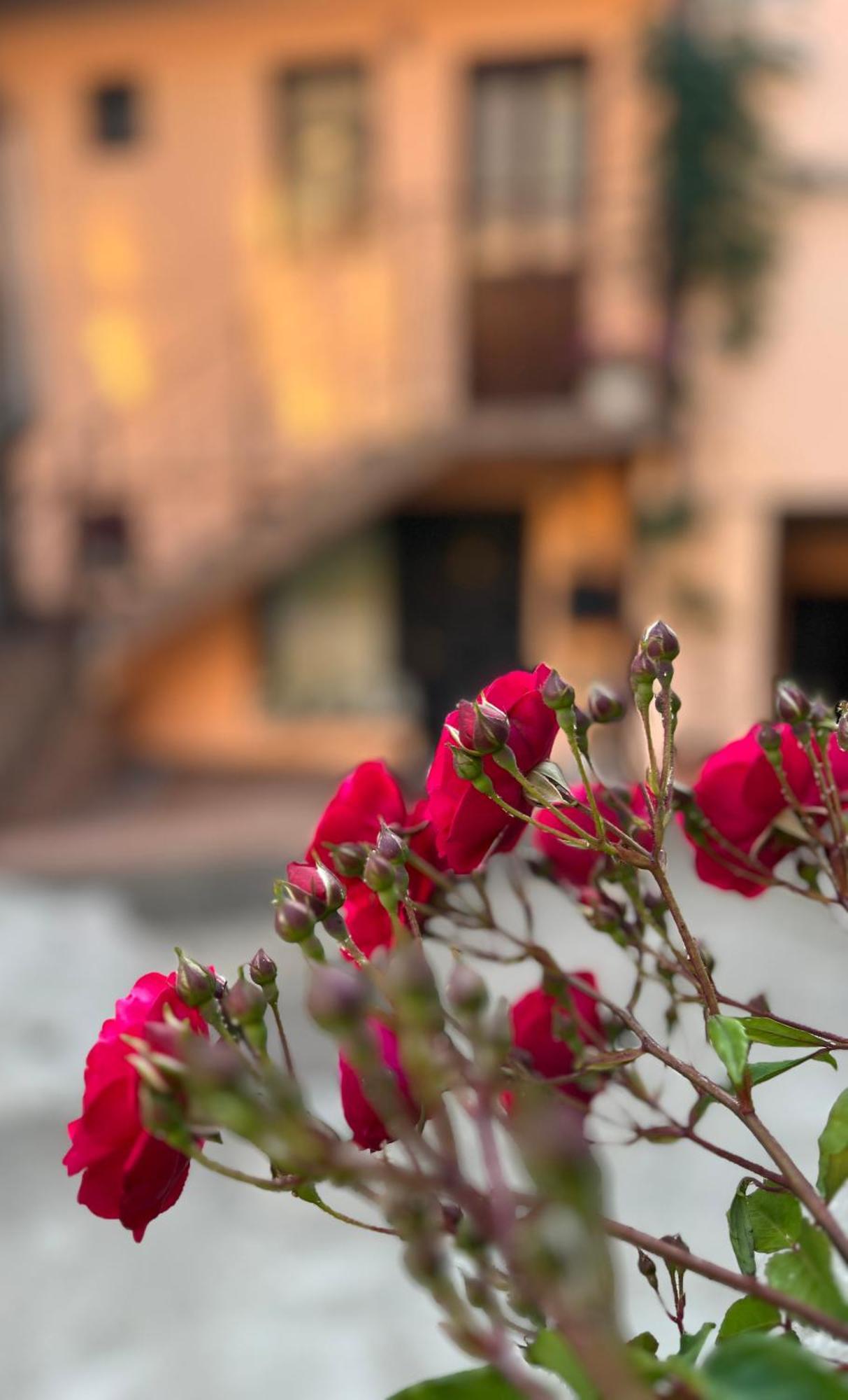 Moon And Sun Apartments Sibiu Ngoại thất bức ảnh