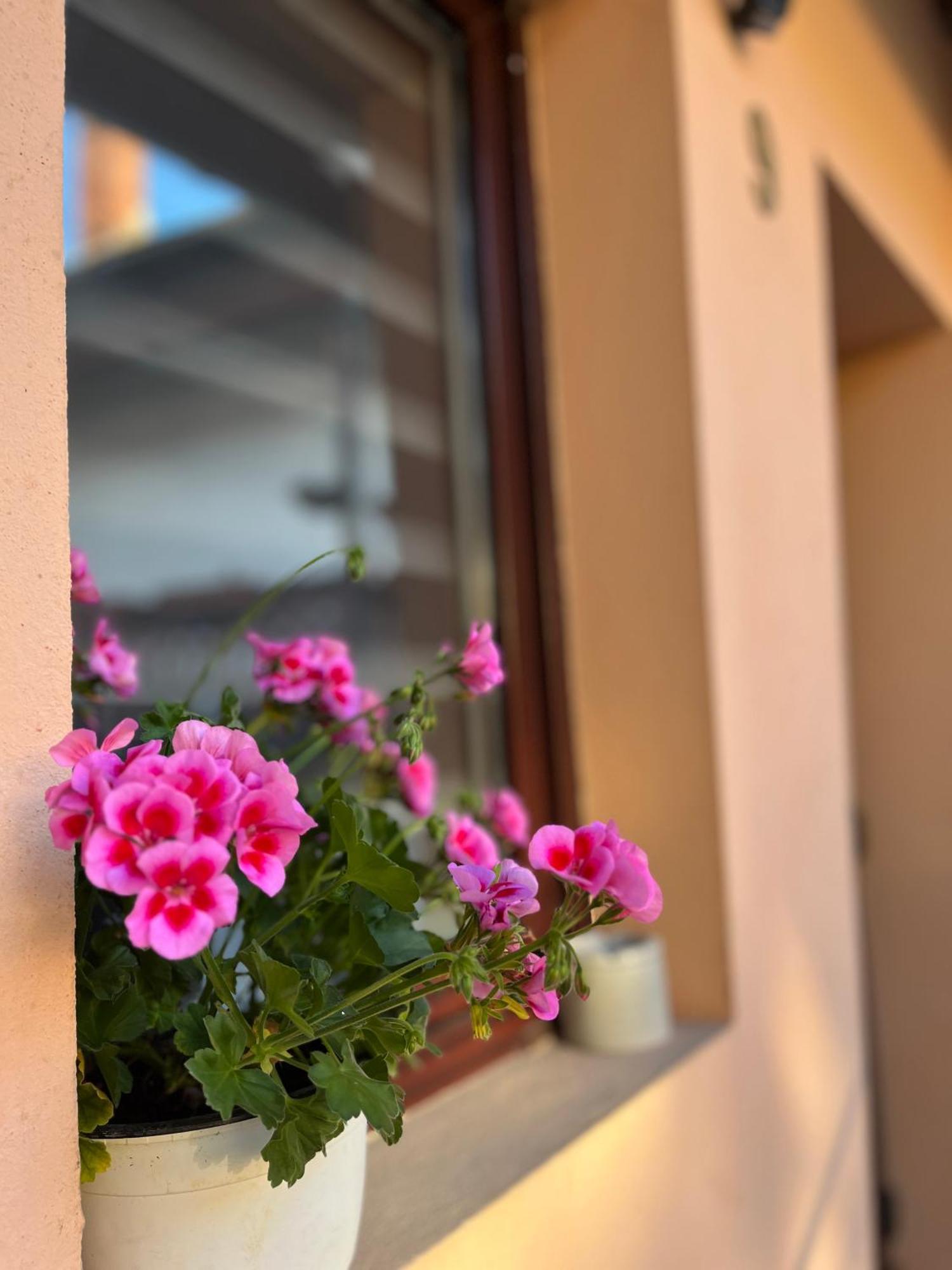 Moon And Sun Apartments Sibiu Ngoại thất bức ảnh